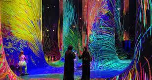 Teamlab Phenomena