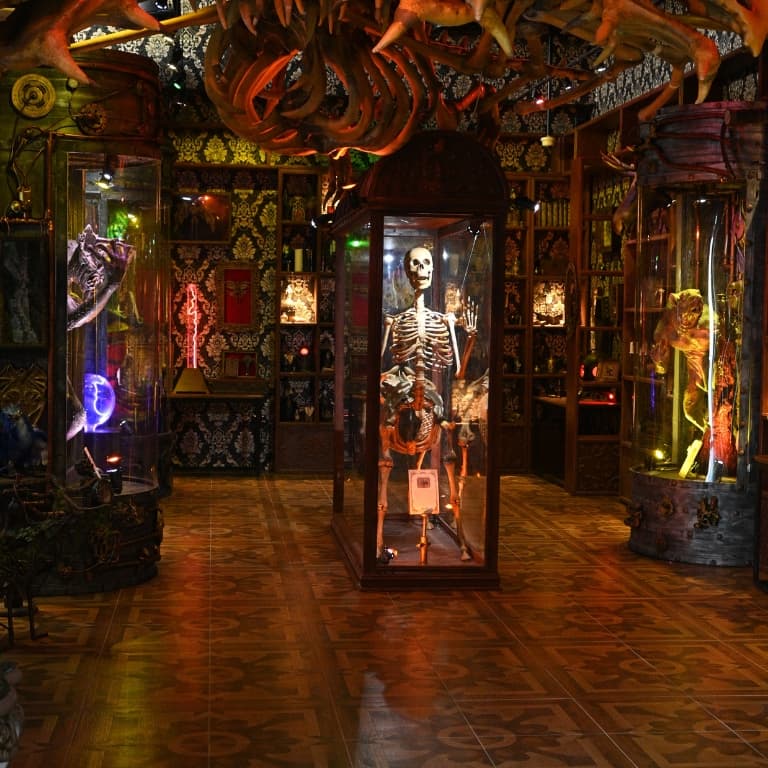 tour gallery image