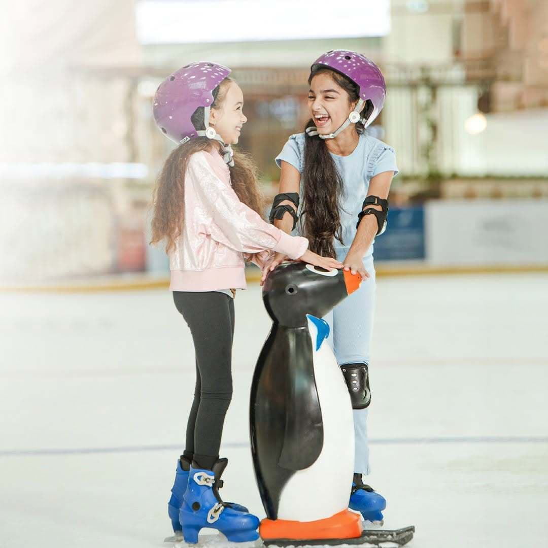 Ice Rink
