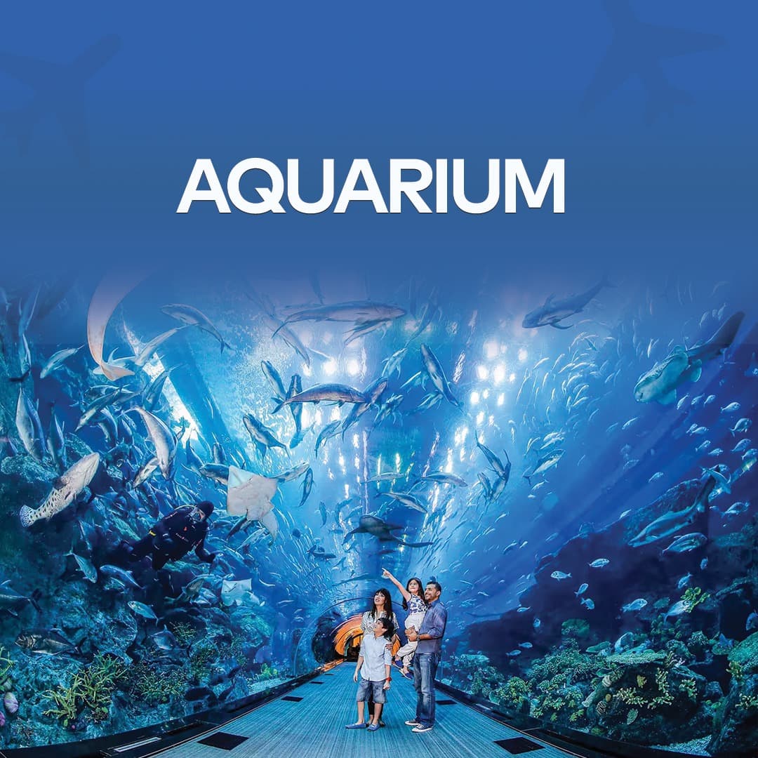 Dubai Aquarium
